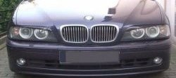 1 649 р. Реснички на фары Badlook  BMW 5 серия  E39 (1995-2003) (Неокрашенные). Увеличить фотографию 1