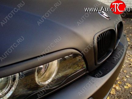 1 249 р. Реснички (нижние) на фары HAMANN  BMW 5 серия  E39 (1995-2003) (Неокрашенные)
