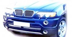 119 р. Накладка AS Concept на передний бампер BMW X5 E53 дорестайлинг (1999-2003) (Неокрашенная). Увеличить фотографию 1