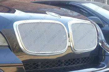 6 649 р. Защитная сетка решетки радиатора AUTOLEADER Премиум BMW X5 E70 дорестайлинг (2006-2010) (Хром). Увеличить фотографию 1