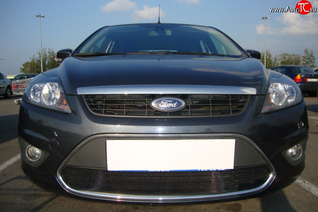 1 399 р. Сетка на бампер Russtal (черная)  Ford Focus  2 (2007-2011)