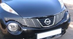 6 499 р. Декоративная вставка решетки радиатора Berkut Nissan Juke 1 YF15 дорестайлинг (2010-2014). Увеличить фотографию 1